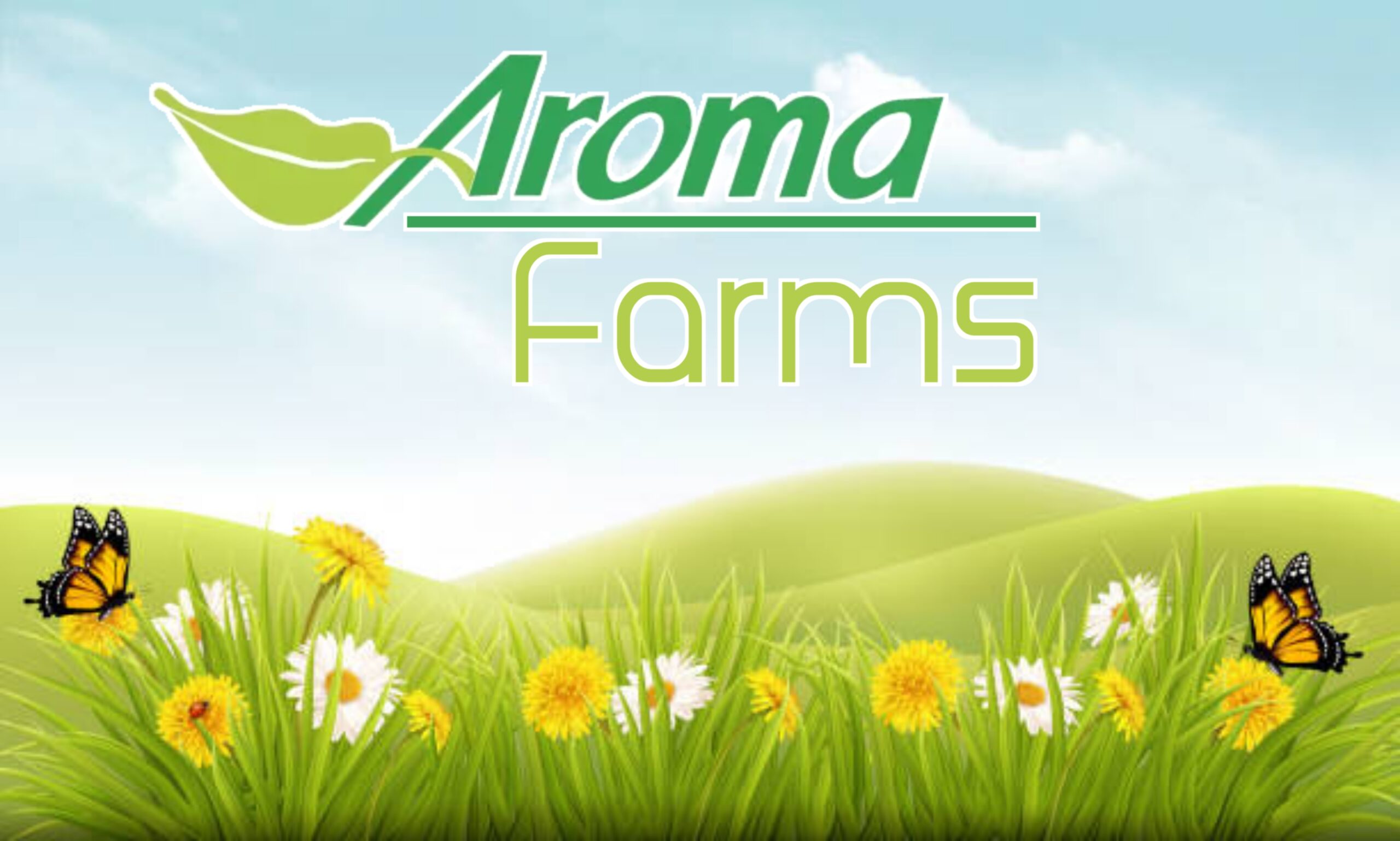 Farm house in Noida sector 150 Amor Farms Noida